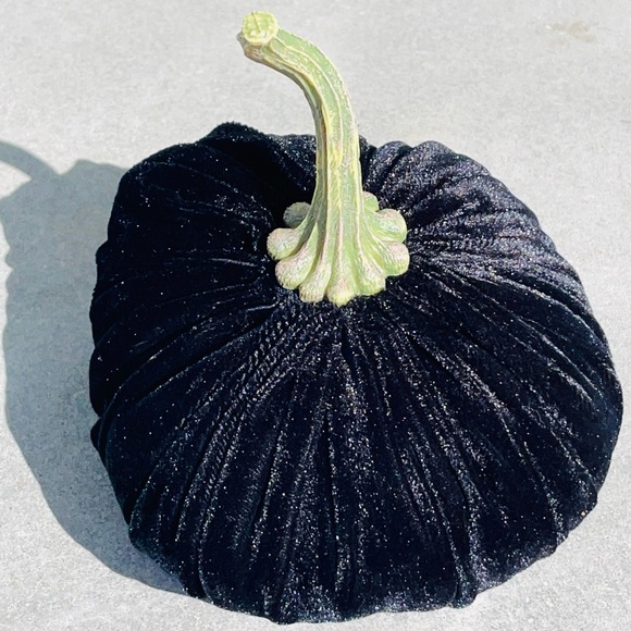 Pumpkin Velvet Decoration color black Weighted(0.11.3oz) 8"x 8” New without tag - Picture 15 of 15